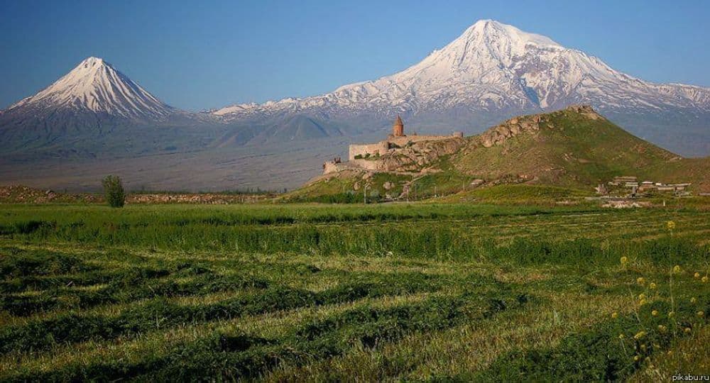 Ararat